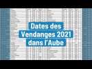 Dates des Vendanges 2021 dans l'Aube