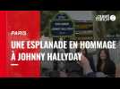 VIDÉO. Paris Une esplanade et une statue en hommage à Johnny Hallyday
