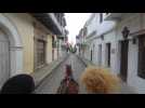 Horse carriages of Cartagena: Is it tradition or animal abuse?