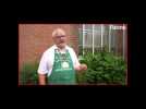 Les Taste Wijn reprennent leurs animations