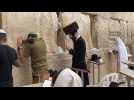 Ultra-Orthodox jews pray at Western Wall