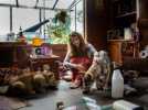 Le Loup et le lion: Trailer HD