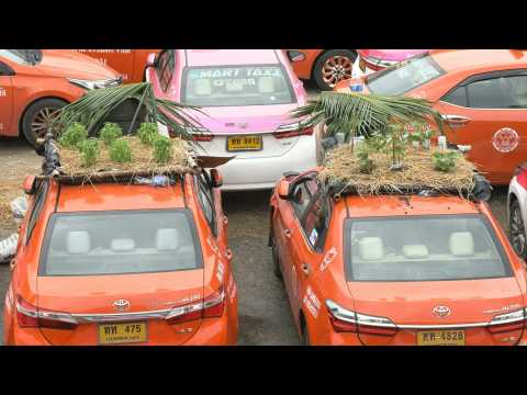 Bangkok 'taxi graveyard' comes to life with mini-gardens