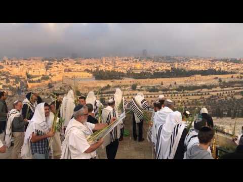 Orthodox Jews take part in prayers for Hoshana Rabba, seventh day of Sukkot