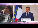 Bebel, Adieu le « Magnifique », parlons-en !