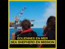 Éoliennes en mer - Sea Shepheard en mission