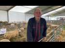 Foire de Sedan : Richard Lionel, éleveur de moutons présente la race Texel
