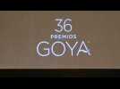 Goya awards will have several presenters and public in attendance
