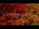 Gilmore Girls - Credits Vidéo 1 - VO