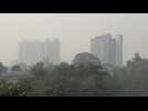 Smog envelopes India's capital