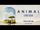 Animal Trailer BE - Label : Cineart - Category : Cinéma