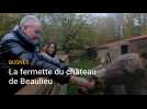Busnes : les animaux sont arrivés au château de Beaulieu