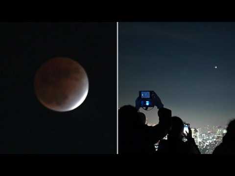 Moon lighting: Tokyo residents watch partial lunar eclipse
