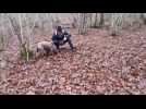 le cavage ou la recherche de la truffe d'automne