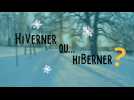 Nature : hiberner ou hiverner, quelles différences ?