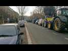 Namur : près de 100 agriculteurs mobilisés pour défendre une agriculture familiale et durable