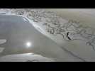 Hong Kong sand artist turns beaches into giant canvases