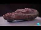 Chine : un embryon de dinosaure parfaitement fossilisé découvert