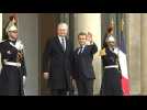France's Macron meets Lithuanian president Nauseda in Paris
