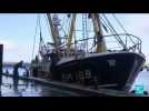 Pêche post-Brexit : 40 licences accordées à des bateaux français