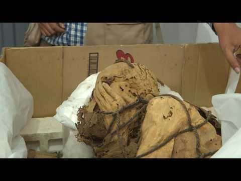Peru archaeologists find mummy up to 1,200 years old