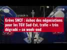 VIDÉO. Grève SNCF : échec des négociations pour les TGV Sud-Est, trafic « très dégradé »