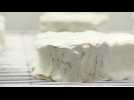 Menu de fête normand (3/5) : en fromage, le Neufchâtel