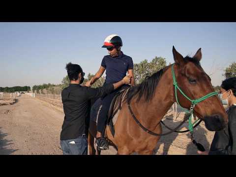 How can therapy involving horses help people with disabilities?