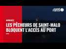 VIDÉO. Pêche post-Brexit : les pêcheurs de Saint-Malo vent debout pour leur licence