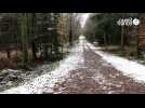 Des premiers flocons dans l'Orne