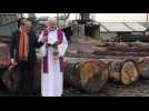 Notre-Dame de Paris: Bénédiction de dix chênes à la scierie de Vineuil-Saint-Firmin
