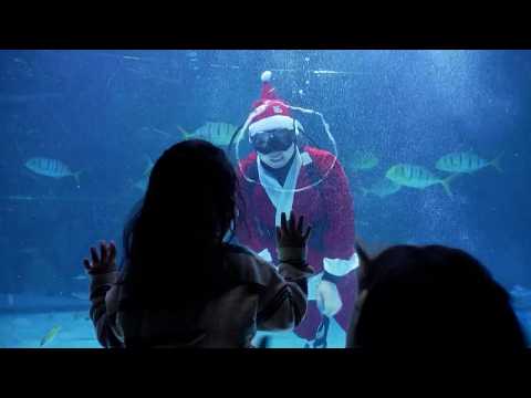 Underwater Santa puts on a show at Seoul aquarium