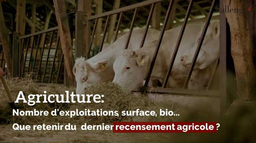 Agriculture: Nombre D'exploitations, Surface, Bio... Que Retenir Du ...