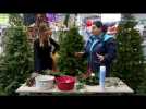 Le sapin de Noël - L'instant