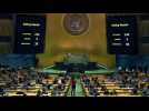 UN General Assembly 'demands' Russia withdraw from Ukraine