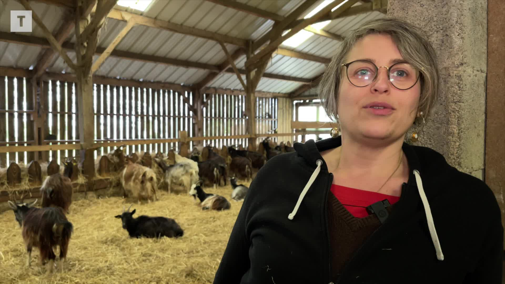 À Berrien, Laetitia Benoit arrête l’élevage « pour commencer à vivre » (Le Télégramme)