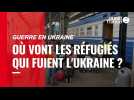 VIDÉO. Guerre en Ukraine : où vont les réfugiés qui fuient l'Ukraine ?