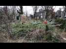 Woofing aux Jardins de la Herpinière d'Olivier Diot, à Plasnes