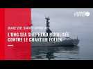 VIDÉO. Parc éolien en baie de Saint-Brieuc : le navire de Sea Shepherd en alerte devant le chantier
