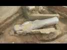 Les entrailles de Notre-Dame livrent un mystérieux sarcophage de plomb