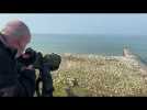 Christophe Luczak est ornithologue à la station marine de Wimereux