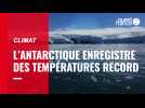 VIDÉO. Pourquoi l'Antarctique enregistre des températures record au mois de mars