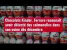 VIDÉO. Chocolats Kinder : Ferrero reconnaît avoir détecté des salmonelles dans son usine dès décembre