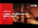 VIDÉO. « Animal » du street art à la grotte Chauvet
