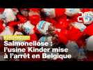 Salmonellose: L'usine de chocolats Kinder mise à l'arrêt en Belgique