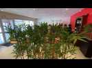 La Pause rest'o, le restaurant associatif d'Outreau
