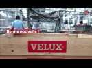 Feuquières-en-Vimeux : l'usine Velux prend des initiatives écologiques