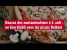 VIDÉO. Hausse des contaminations à E. coli : un lien établi avec les pizzas Buitoni