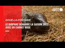VIDEO. Au Bioparc de Doué-la-Fontaine, chaque ticket d'entrée protège la faune