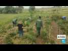 En Eswatini, l'agriculture biologique en pleine croissance